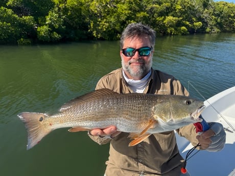 Fishing in St. Petersburg, Florida