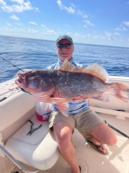 Fishing in Sarasota, Florida