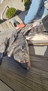 Fishing in Rockport, Texas