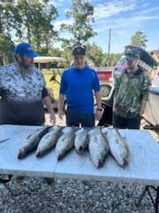 Fishing in Rogers, Arkansas