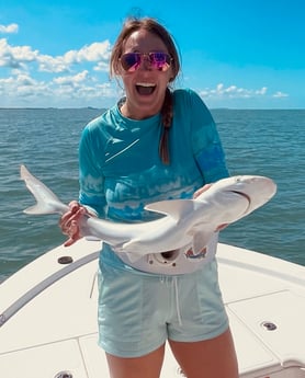 Blacktip Shark Fishing in Fort Myers Beach, Florida
