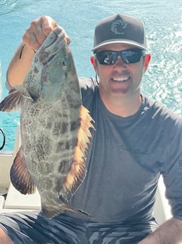 Snook fishing in Miami Beach, Florida