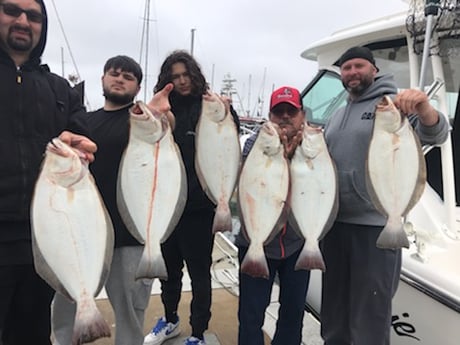 Fishing in San Jose, California