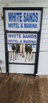 Fishing in Port Isabel, Texas