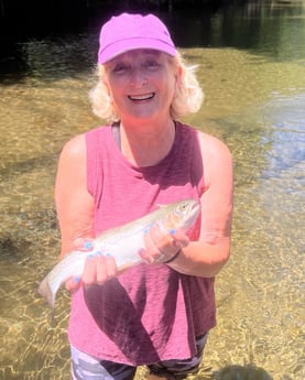 Rainbow Trout fishing in Leicester, North Carolina