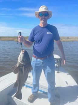 Black Drum Fishing in Shell Beach, Louisiana