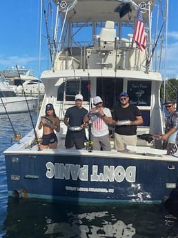 False Albacore Fishing in Pompano Beach, Florida