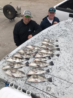 Fishing in Rockport, Texas