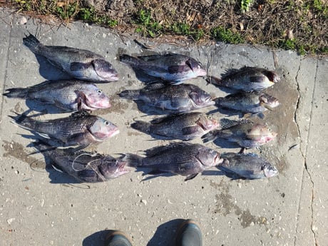 Fishing in Wilmington, North Carolina