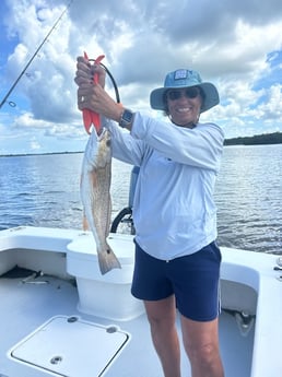 Fishing in Bradenton, Florida