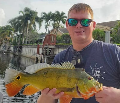 Peacock Bass fishing in Delray Beach, Florida
