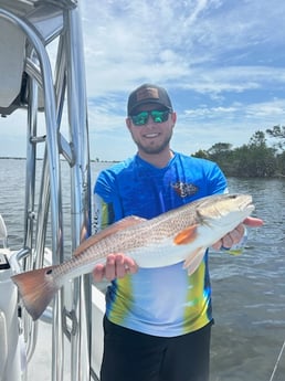 Fishing in Seminole, Florida