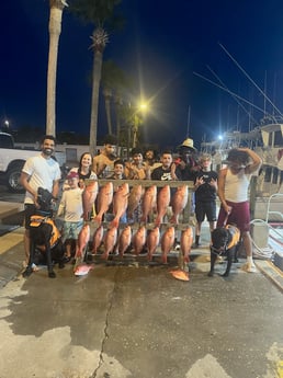 Gag Grouper, Red Snapper Fishing in
