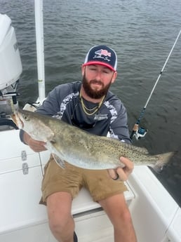 Fishing in Theodore, Alabama