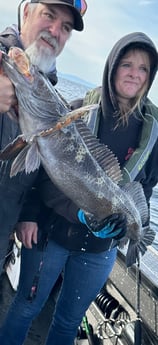 Lingcod Fishing in