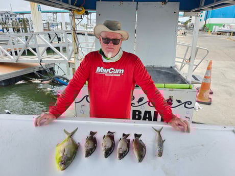 Fishing in Fort Myers Beach, Florida