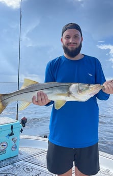 Snook Fishing in Cape Coral, Florida