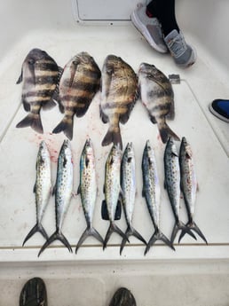 Fishing in Pensacola, Florida