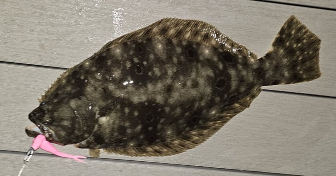 Fishing in Stone Harbor, New Jersey