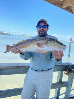 Redfish fishing in Ingleside, Texas