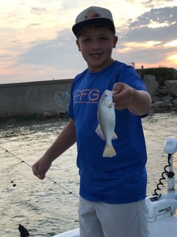 Redfish fishing in League City, Texas