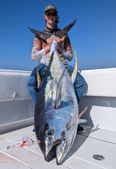Yellowfin Tuna Fishing in Boothville-Venice, Louisiana