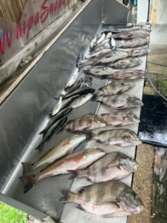 Fishing in Biloxi, Mississippi