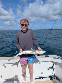 Fishing in Carolina Beach, North Carolina
