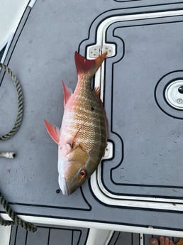 Fishing in Pembroke Pines, Florida