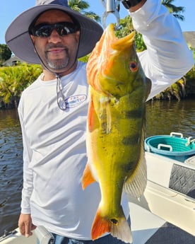 Fishing in Delray Beach, Florida