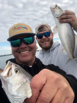 Speckled Trout / Spotted Seatrout Fishing in Galveston, Texas