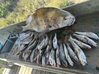 Fishing in Fernandina Beach, Florida