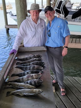 Black Drum, Speckled Trout / Spotted Seatrout fishing in San Leon, Texas
