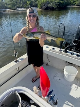 Fishing in Bradenton, Florida