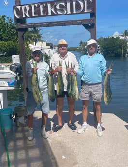 Mahi Mahi / Dorado fishing in Naples, Florida