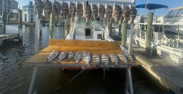 Fishing in Biloxi, Mississippi