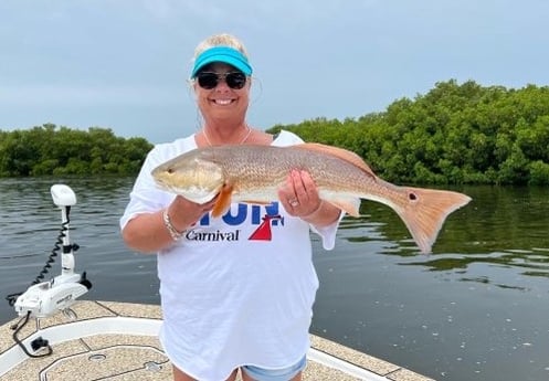 Redfish fishing in Crystal River, Florida