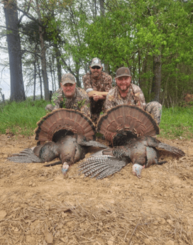 Fishing in Elberta, Alabama