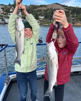 Fishing in San Francisco, California