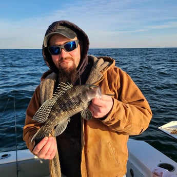 Black Seabass Fishing in Stone Harbor, New Jersey