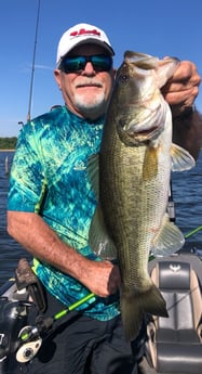 Largemouth Bass fishing in Lake Fork, Texas