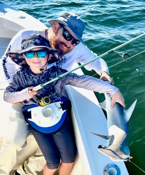 Bonnethead Shark Fishing in Tampa, Florida