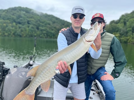 Muskie fishing in Knoxville, Tennessee