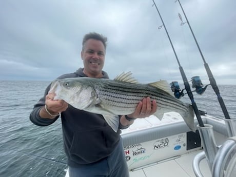 Striped Bass fishing in Chatham, Massachusetts