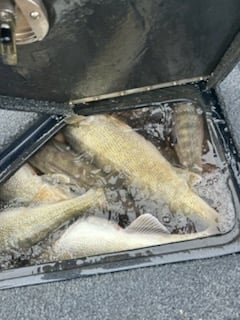 Fishing in Vermilion, Ohio