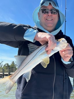 Fishing in Cape Coral, Florida