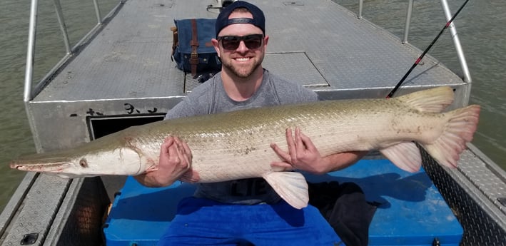 Alligator Gar fishing in Livingston, Texas