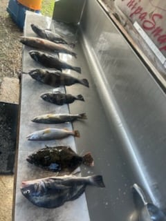 Fishing in Biloxi, Mississippi