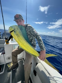 Mahi Mahi Fishing in North Charleston, South Carolina