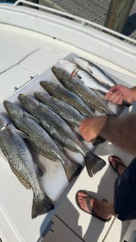 Fishing in Spanish Fort, Alabama